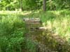 Stream restoration at Chesterbrook Estates - first growing season