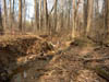 Preconstruction conditions at Chesterbrook Estates