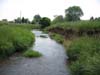 Preconstruction conditions at Loudoun County Wetlands and Stream Bank - Phase II