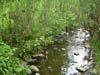 Stream restoration at McLean Place