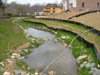 Stream restoration at Vienna Estates - First growing season