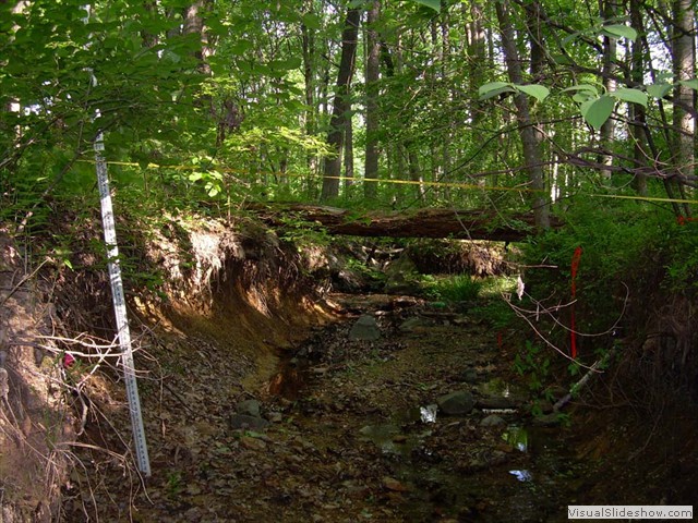Pre-construction conditions in Snakeden Reach 1: fallen trees and severe erosion.